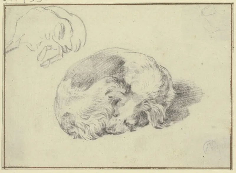 Two sleeping dogs av Nicolaes Pietersz. Berchem