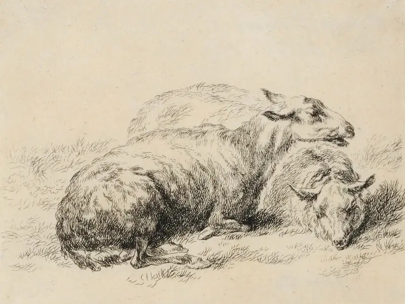 Två liggande får av Nicolaes Pietersz. Berchem
