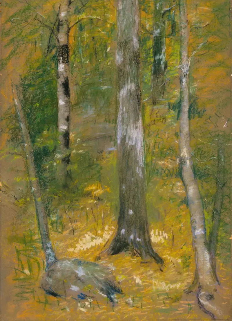 Onteora av Alice Pike Barney