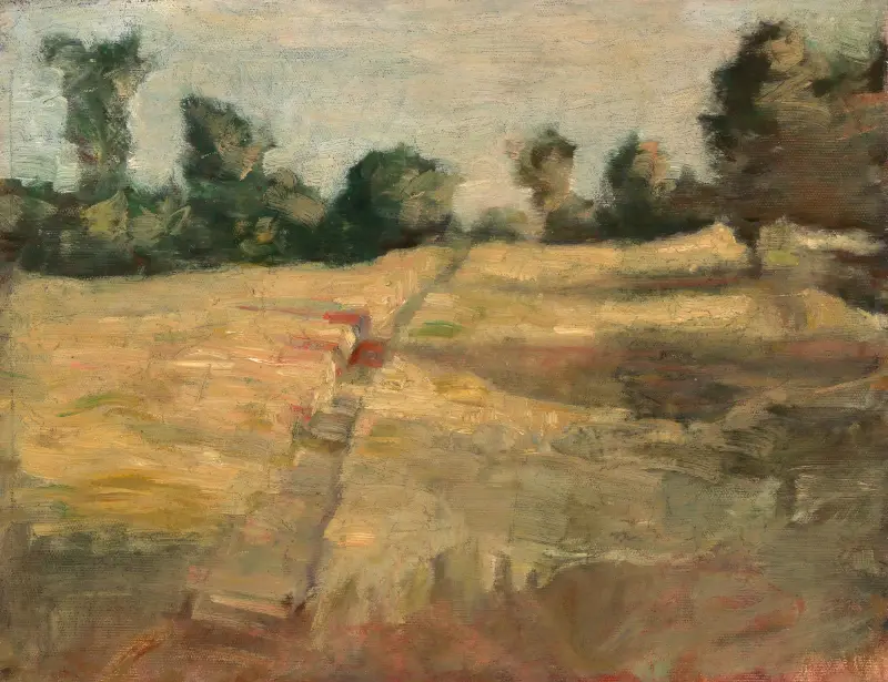 Das Feld von Alice Pike Barney
