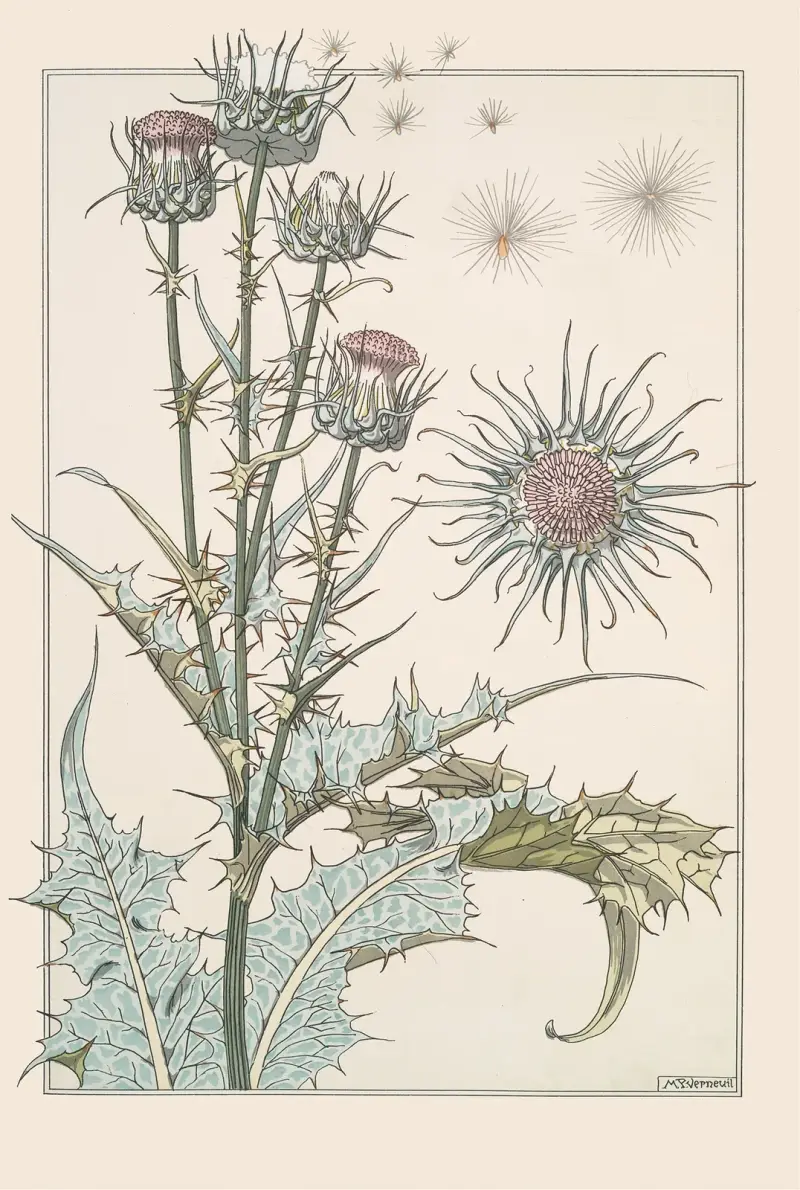 Chardon von Maurice Pillard Verneuil