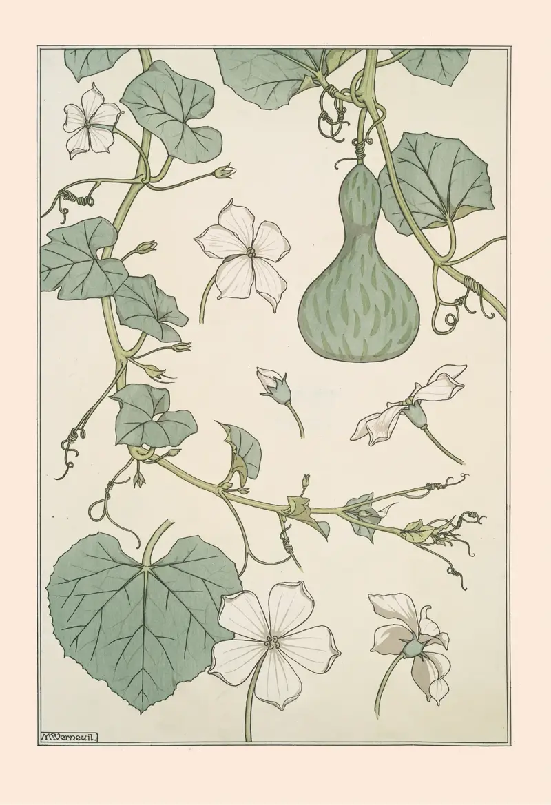 Courge von Maurice Pillard Verneuil