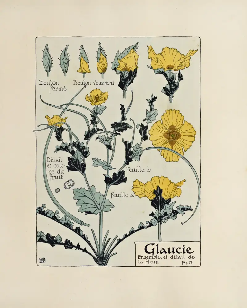 Glaucie. av Maurice Pillard Verneuil