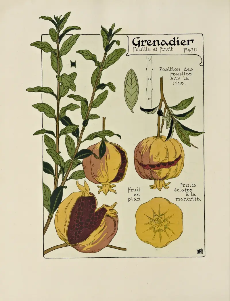 Grenadier von Maurice Pillard Verneuil