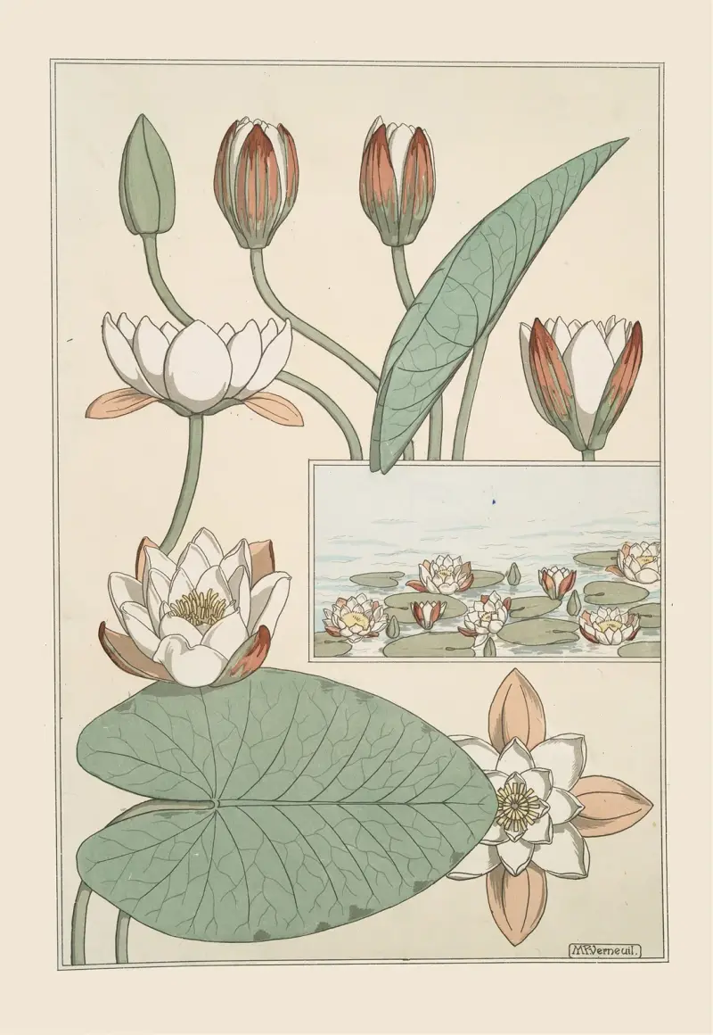 Nénuphar von Maurice Pillard Verneuil