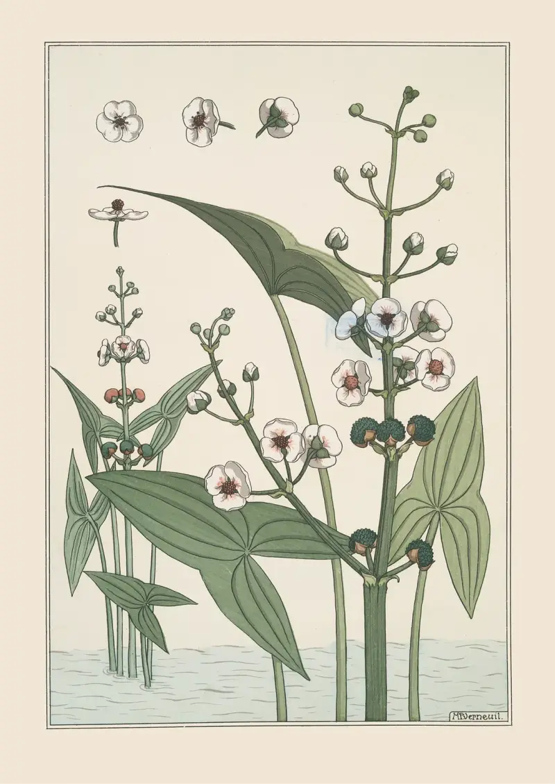 Sagittaire av Maurice Pillard Verneuil
