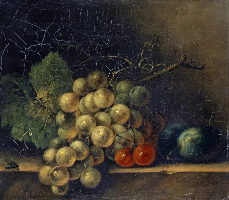 Still Life With Grapes, Stone Fruit And Fly av Rachel Ruysch