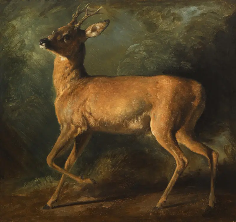 Ein Rehbock von Raden Saleh