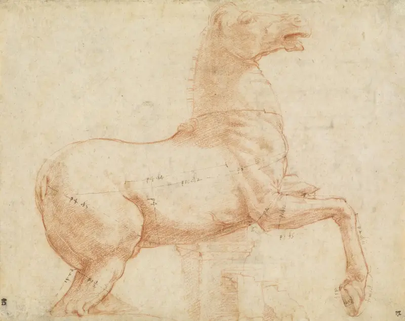 A Marble Horse on the Quirinal Hill (recto) av Raphael
