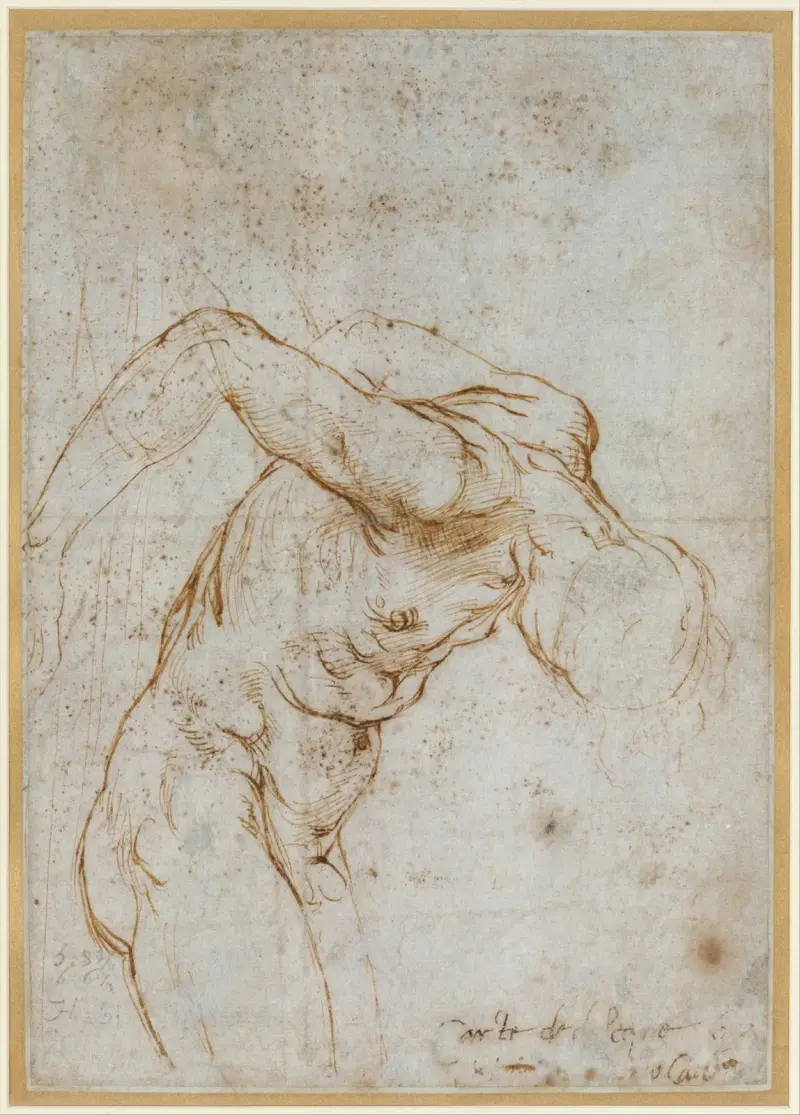 Study of a Nude Male Figure (ca. 1506–7) av Raphael