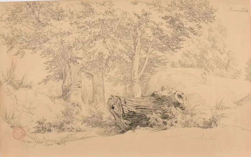 Wald bei Kermoëlo von Jacques-Raymond Brascassat