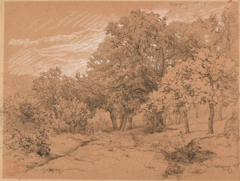 Coin de bois à Magny av Jacques-Raymond Brascassat