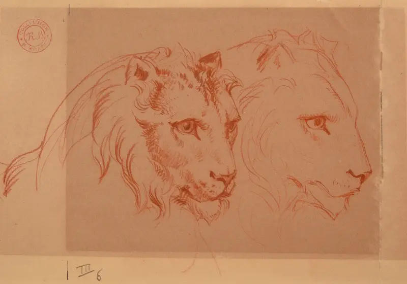 Deux têtes de lion av Jacques-Raymond Brascassat