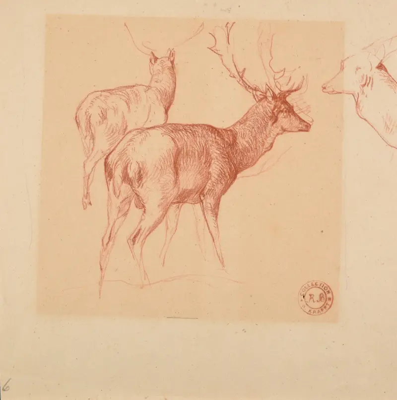 Studie av hjortar av Jacques-Raymond Brascassat
