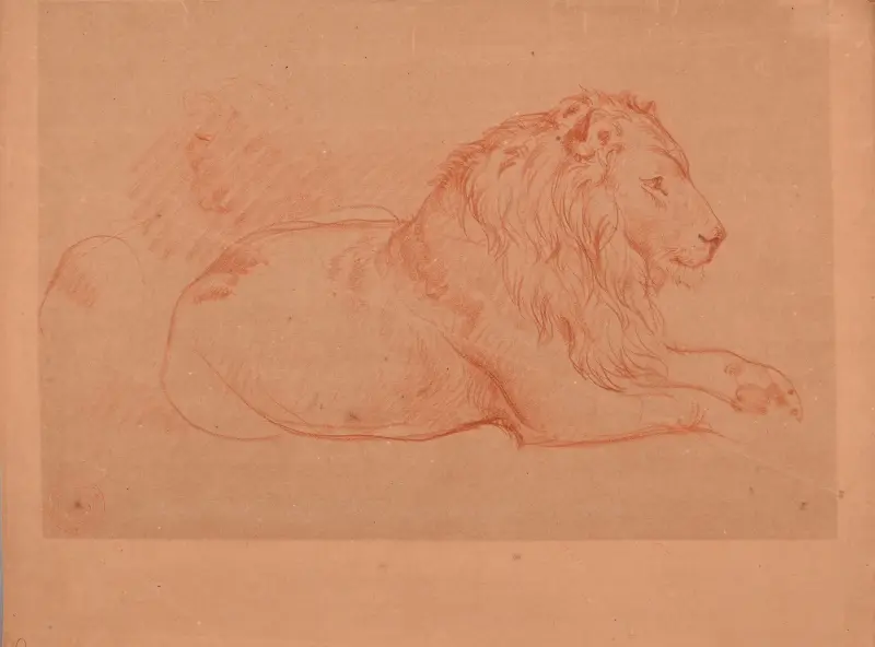 Studie av liggande lejon av Jacques-Raymond Brascassat