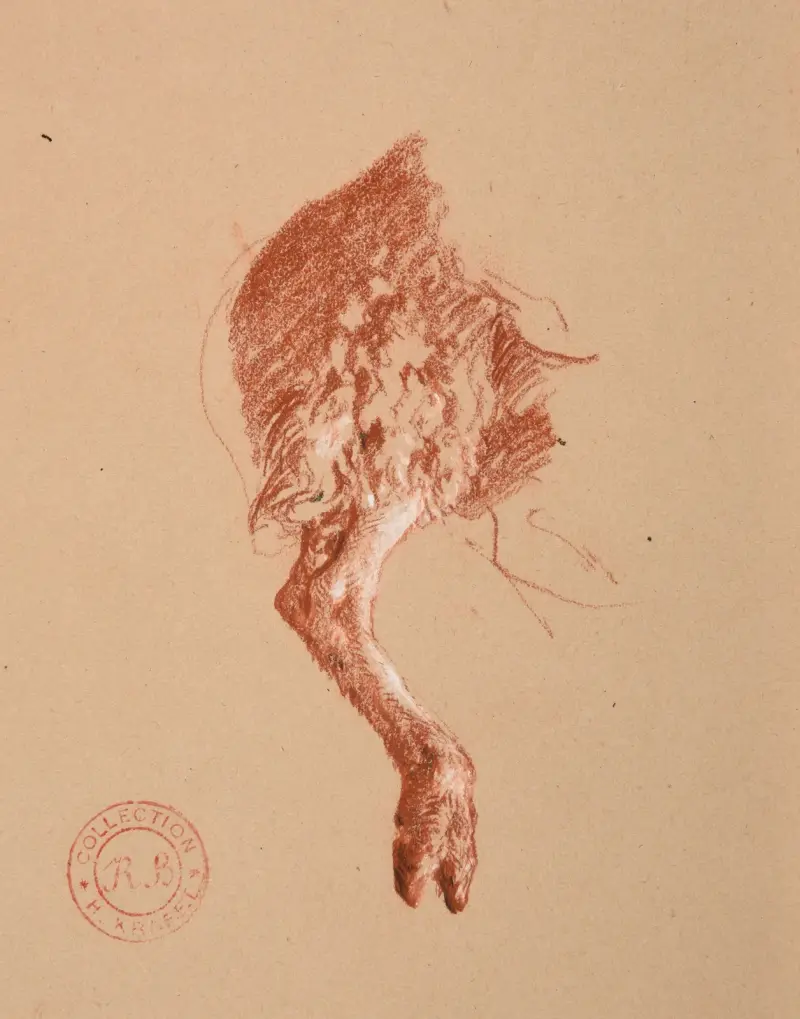 Studie av fårfot av Jacques-Raymond Brascassat