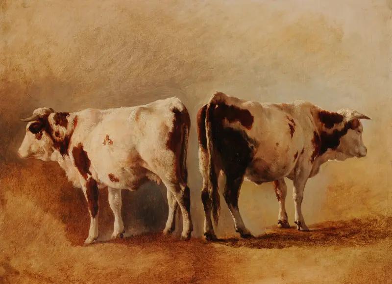 Studie av ko av Jacques-Raymond Brascassat