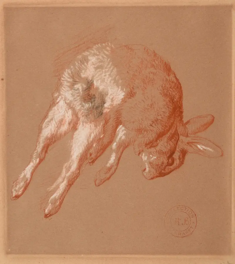 Kanin av Jacques-Raymond Brascassat