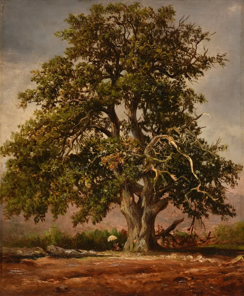 Den gamla eken av Jacques-Raymond Brascassat