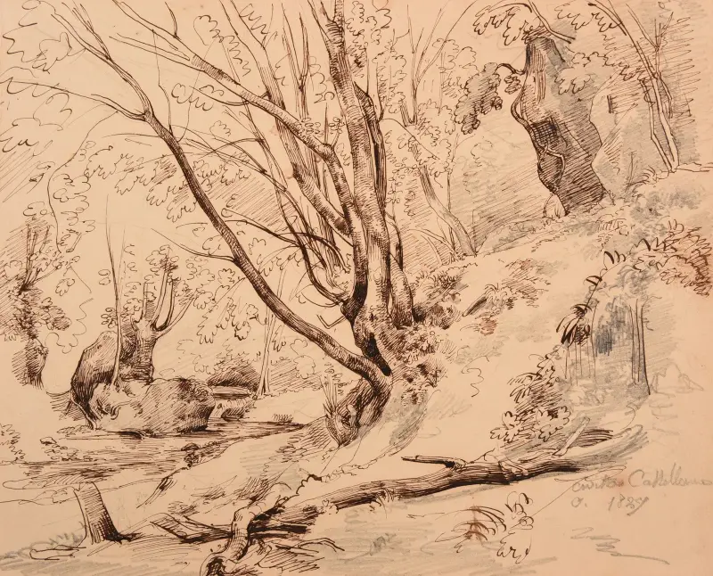 Bäck och skog i Civita Castellana av Jacques-Raymond Brascassat