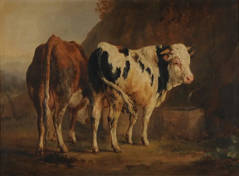 Tjur med vit och svart päls och ko med brun päls av Jacques-Raymond Brascassat