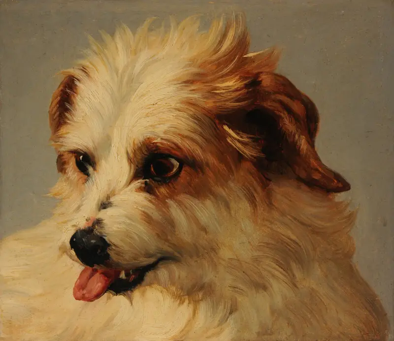 Weißer Hund mit ausgestreckter Zunge von Jacques-Raymond Brascassat