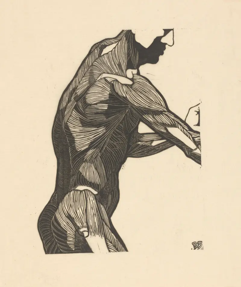 Study of the lateral and arm muscles. – nr 1 av Reijer Stolk