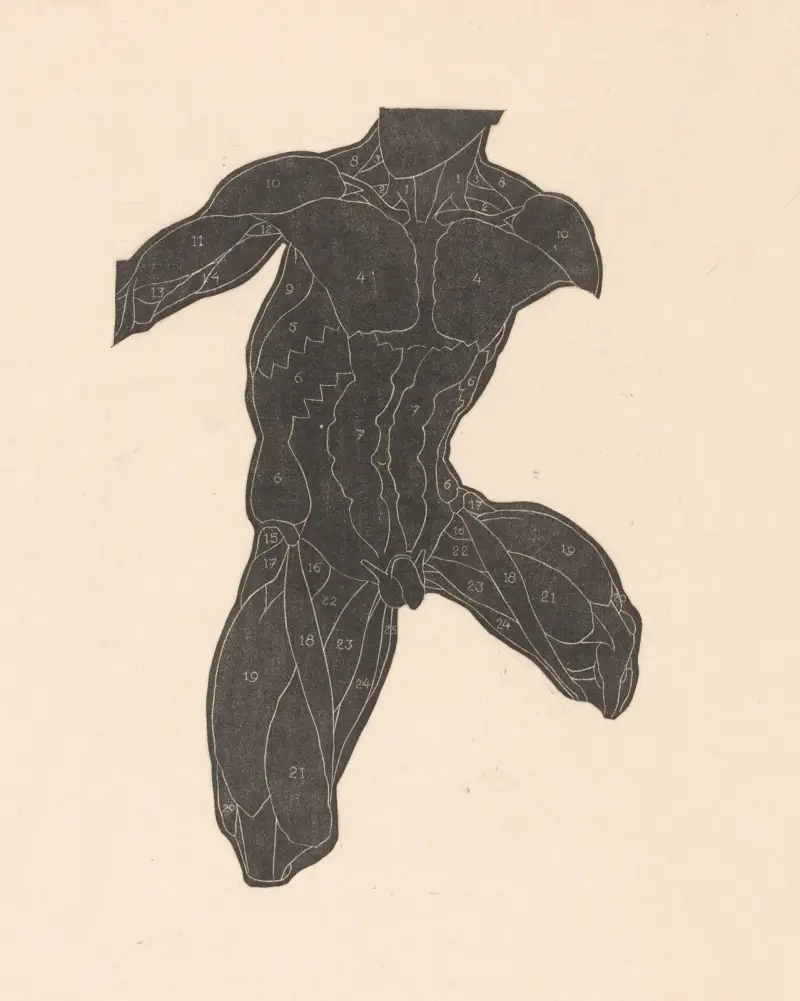 Study of the neck, abdominal, and thigh muscles – nr 2 av Reijer Stolk