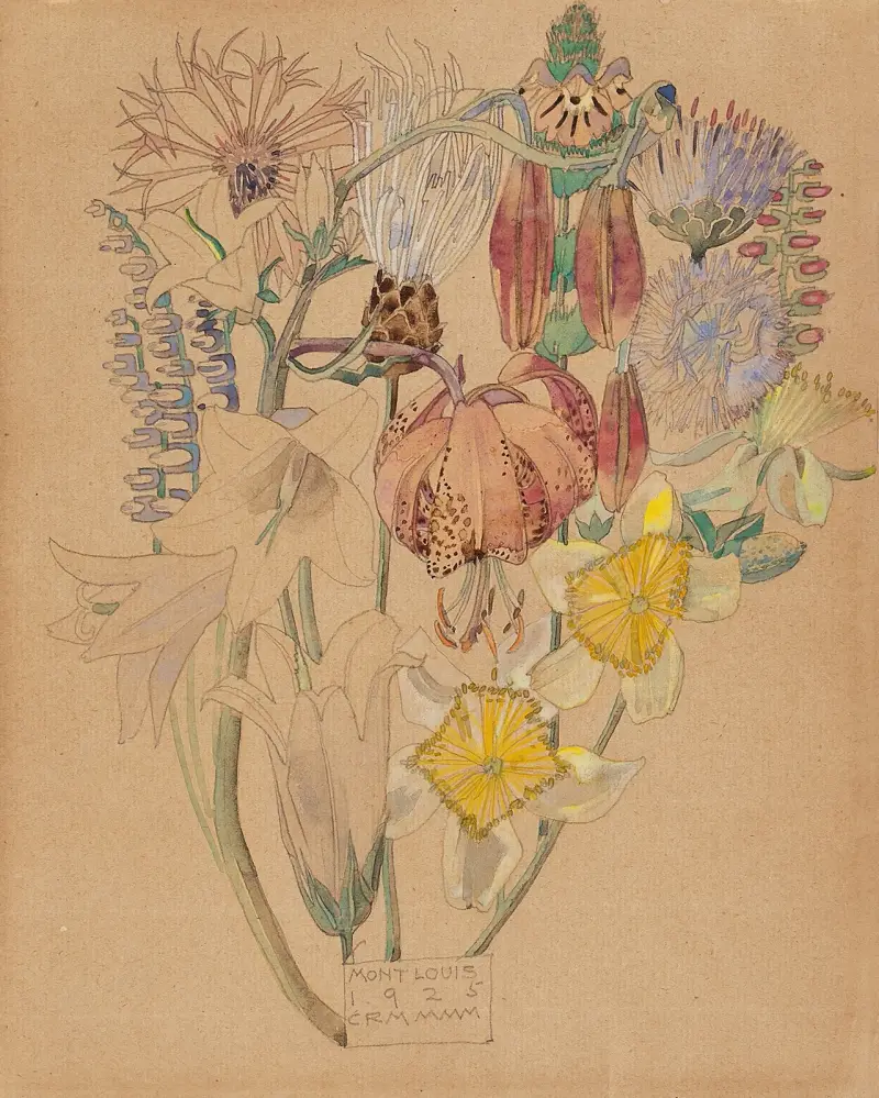 Mont Louis – Flower Study av Charles Rennie Mackintosh