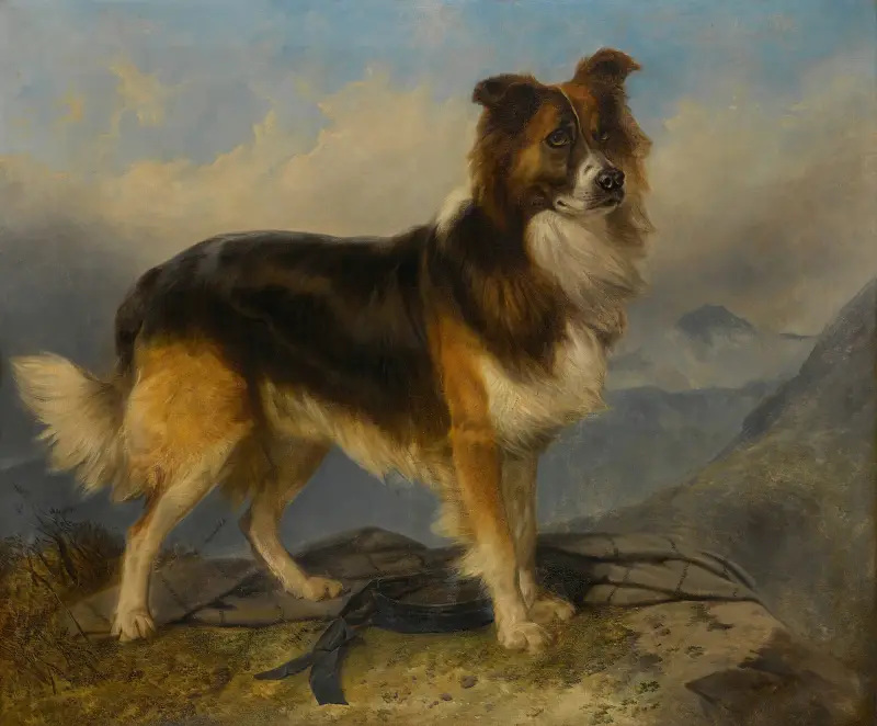 Sammie, Richard Ansdell