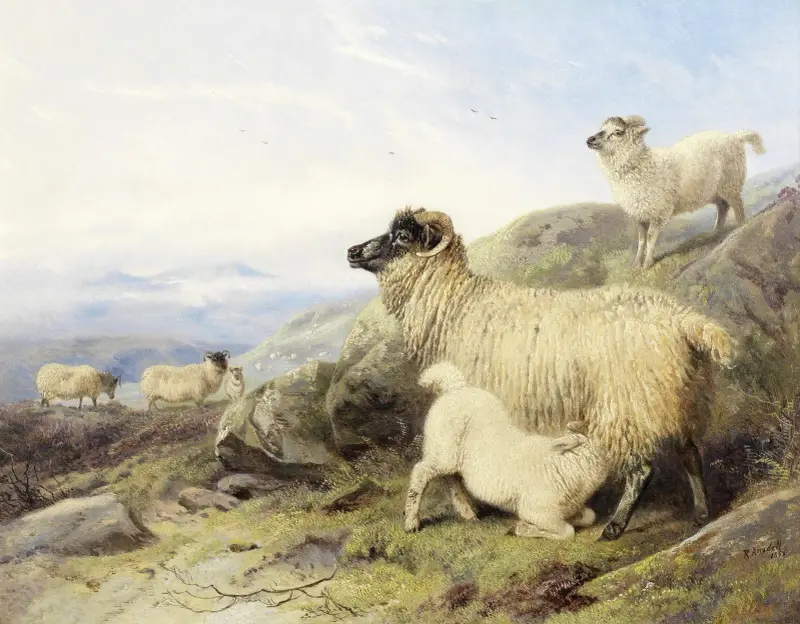 Schafe am Berghang von Richard Ansdell