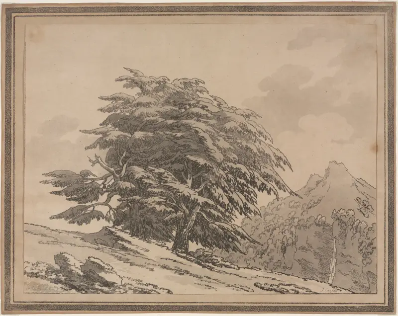 Cedr, John Robert Cozens