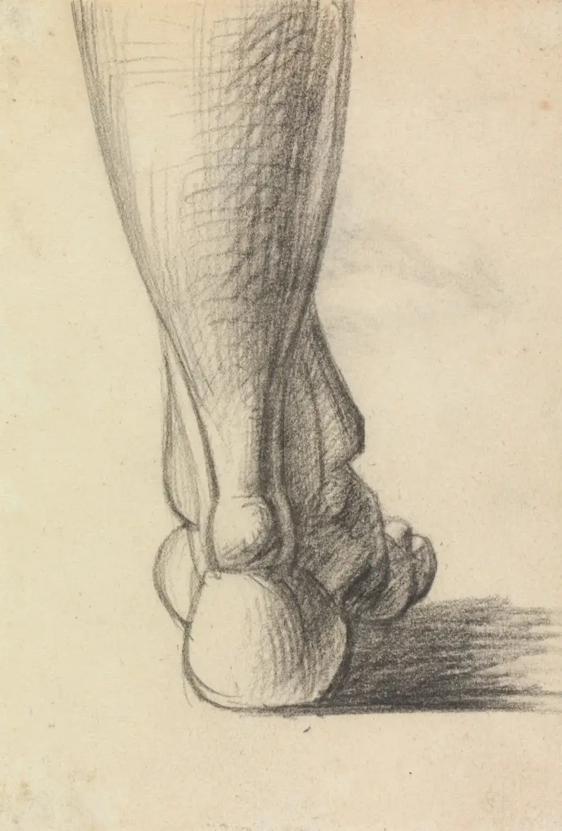 Anatomisk studie av en fotens häl av Benjamin Robert Haydon