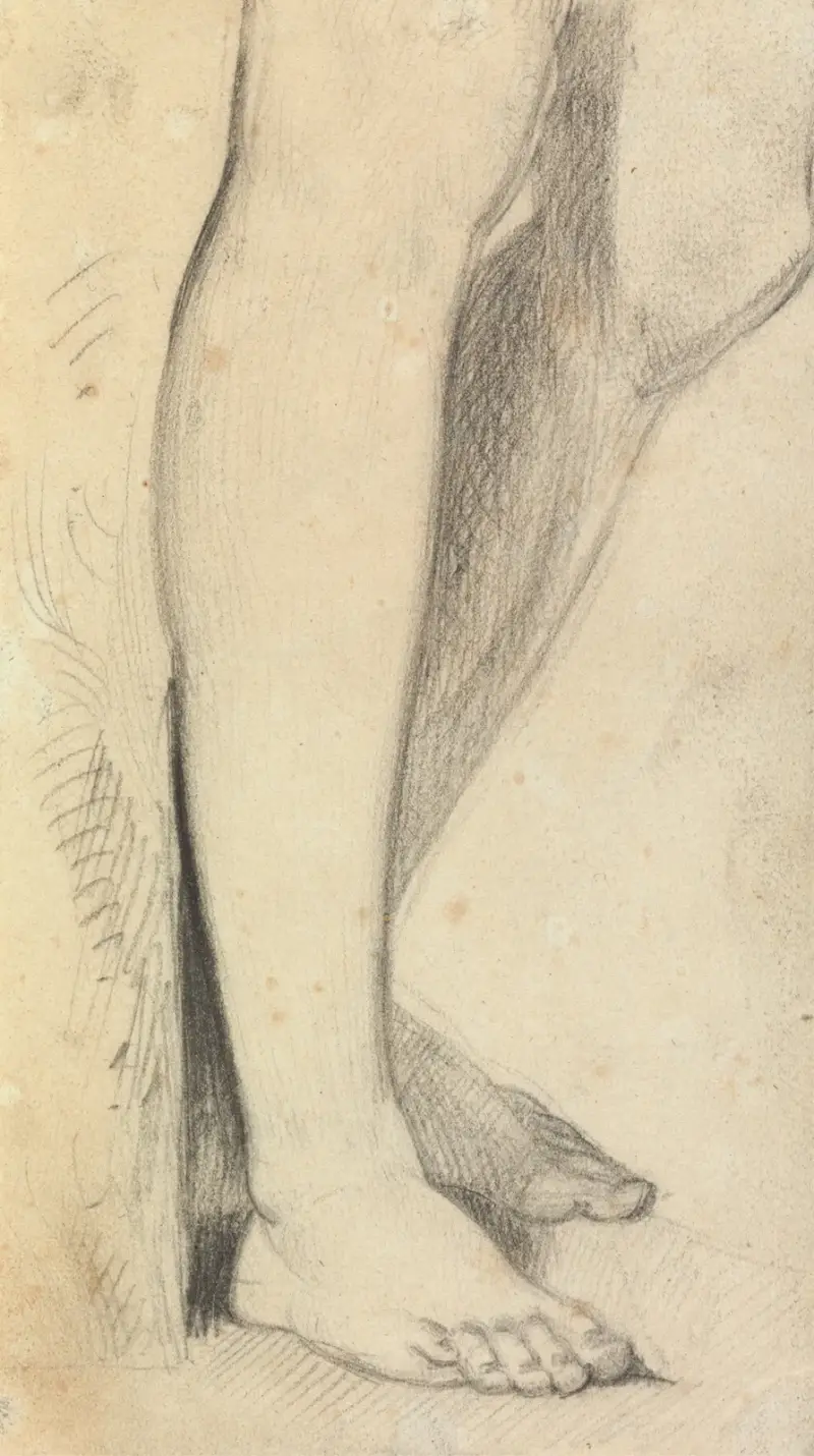 Figurstudie av ben av Benjamin Robert Haydon