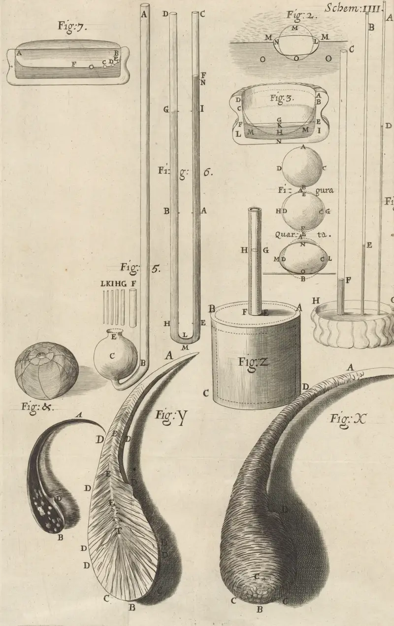 Microscopic view of assorted glass canes and drops av Robert Hooke