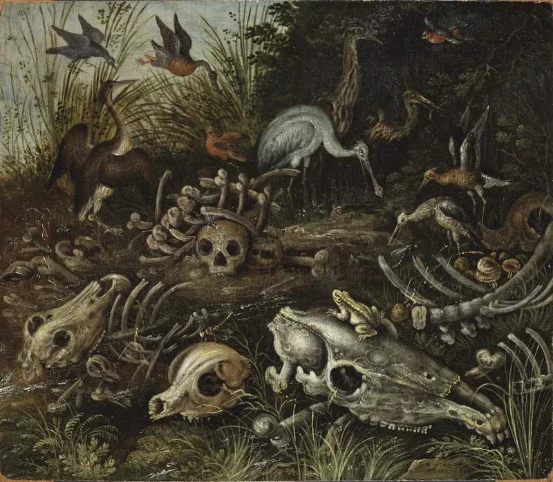 Memento mori, Roelant Savery