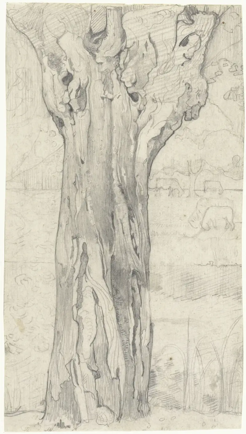 Vrba s hlízami, Richard Nicolaüs Roland Holst