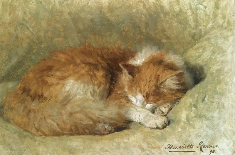 En sovande katt av Henriëtte Ronner-Knip