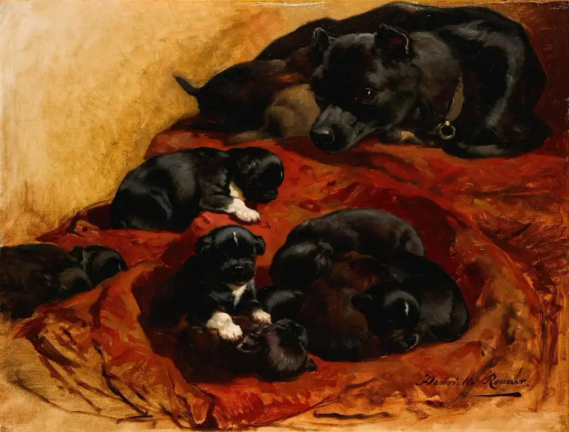 Dumna matka, Henriëtte Ronner-Knip
