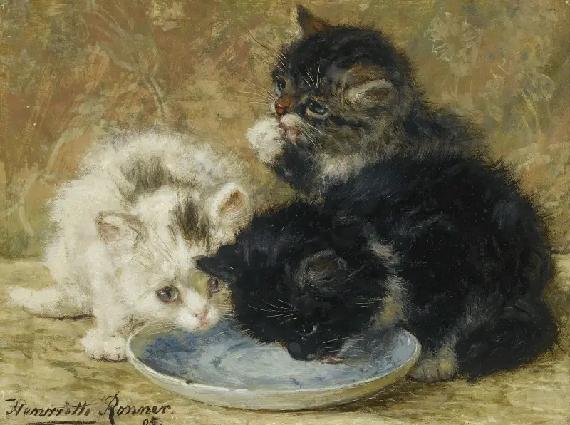 Tři koťata, 1895, Henriëtte Ronner-Knip