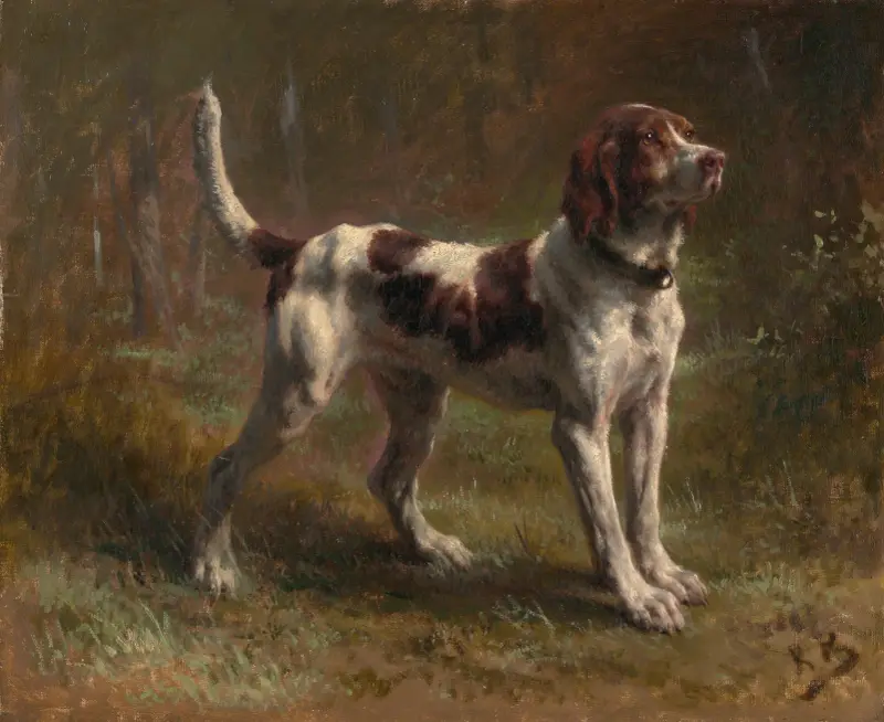 Ein Limier-Briquet-Hund von Rosa Bonheur