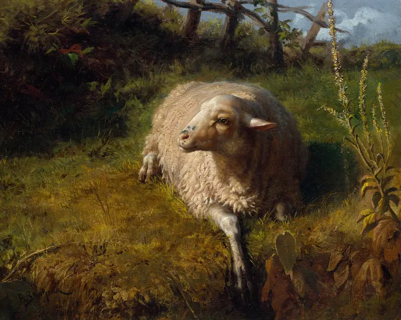 Ein ruhendes Schaf von Rosa Bonheur