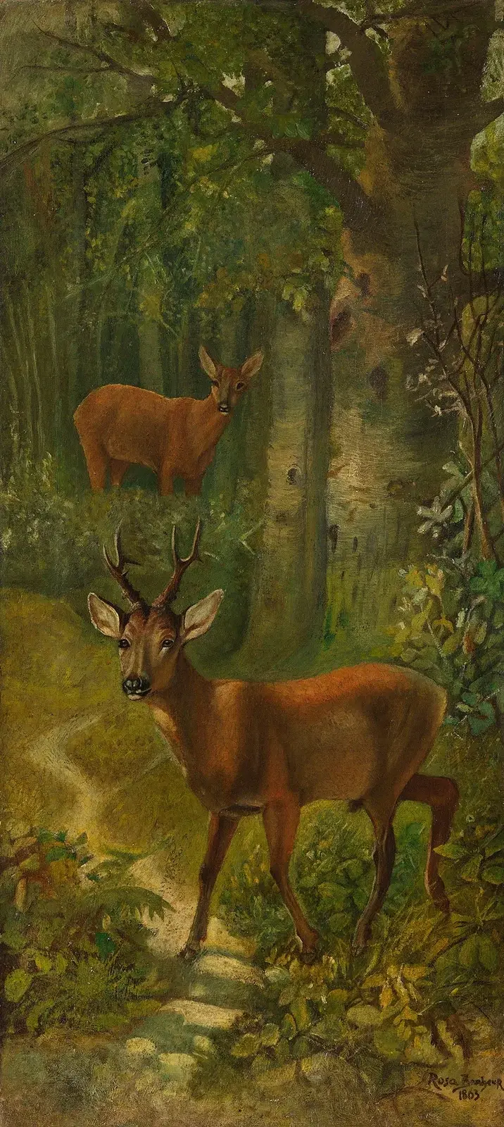 Hirsch am Waldrand von Rosa Bonheur