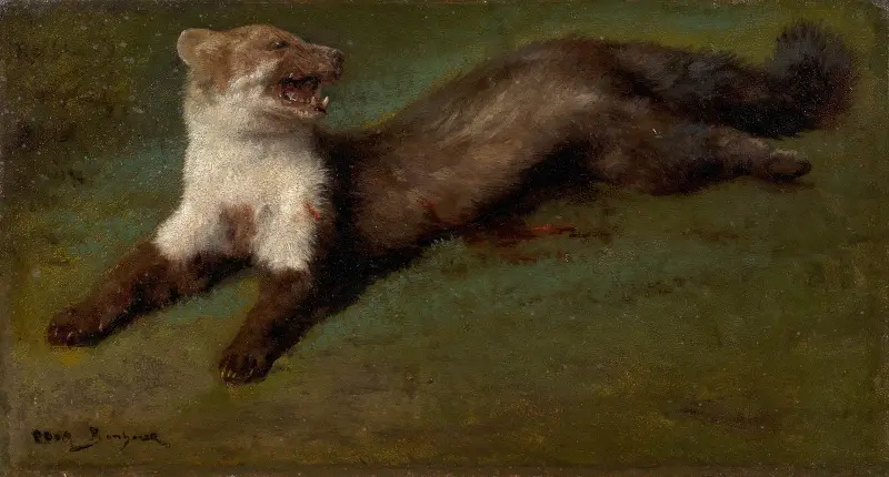 Etude de fouine blessée av Rosa Bonheur