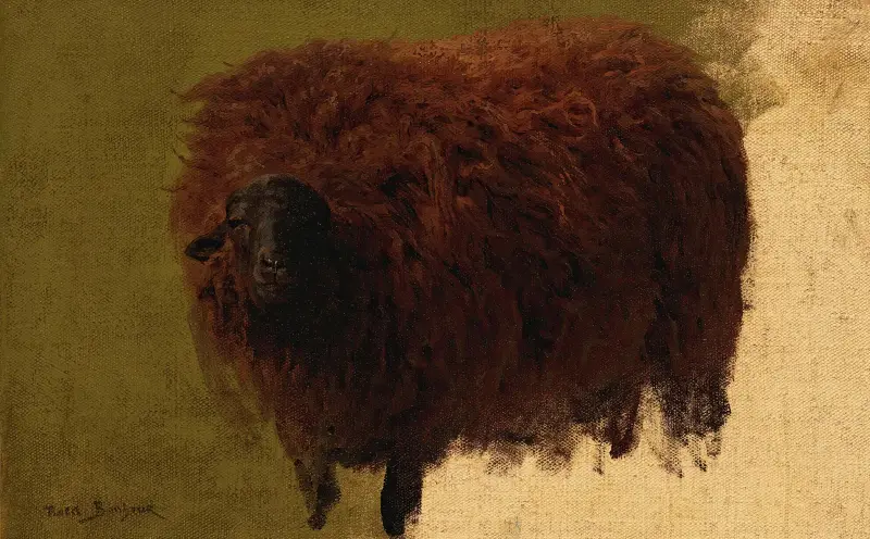 Großes wolliges Schaf (Hammel) von Rosa Bonheur