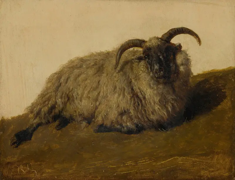 Le Mérinos von Rosa Bonheur