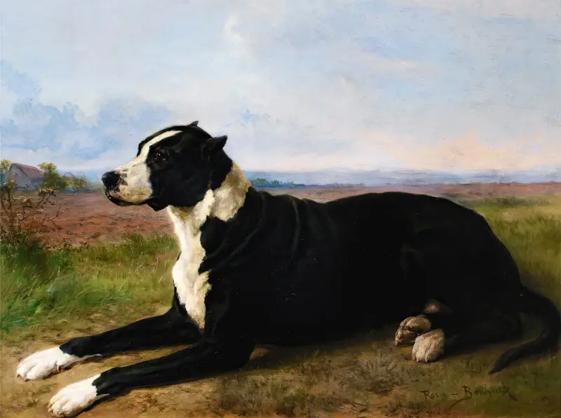 Porträtt av en mastiff-labrador i landskap av Rosa Bonheur