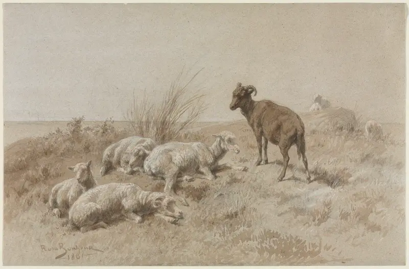 Ovce, Rosa Bonheur
