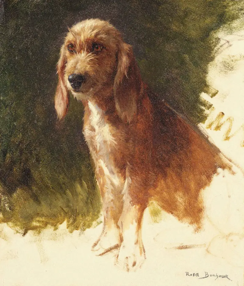 Hundestudie von Rosa Bonheur