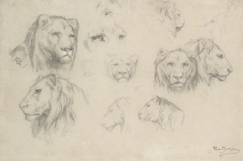 Studie von Löwen und Löwinnen von Rosa Bonheur